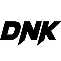 Guida Elettrica