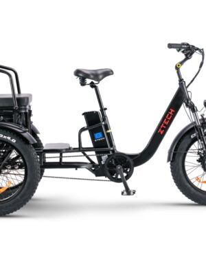 Bici Elettrica PASS TRIKE - ZT-80C - ZTECH ITALIA