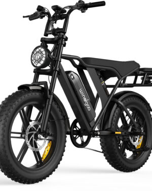 BICI ELETTRICA WINDGOO F20 - OFF ROAD