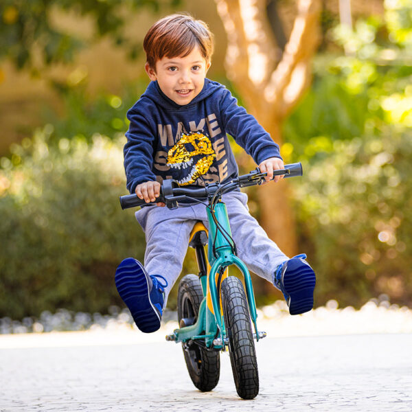 Bicicletta elettrica Fiido Kidz