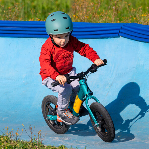 Bicicletta elettrica Fiido Kidz
