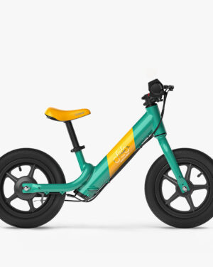 Bicicletta elettrica Fiido Kidz