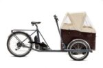 Cargo Bike Elettrica TRK9 Family Hero 8V TrikeGo