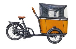 Cargo Bike elettrica Family C 20''/26'' Wings