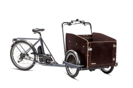 Cargo Bike Elettrica TRK9 Family Hero 8V TrikeGo