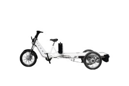 Cargobike Elettrico trasporto merci Base Voltgoo