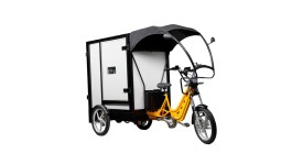 Cargobike Elettrico trasporto Voltgoo