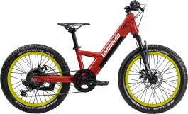E-mtb ragazzo Alluminio 20'' 7V Lucca Lombardo