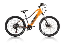 E-Mtb ragazzo Goblin 24" 6V Coppi