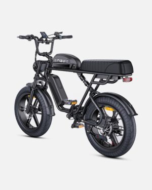 ENGWE M1 | Bicicletta Elettrica per due passeggeri | Versatile | Motore 250W | 48V 15.6Ah/15.6Ah+13Ah | GARANZIA ITALIANA