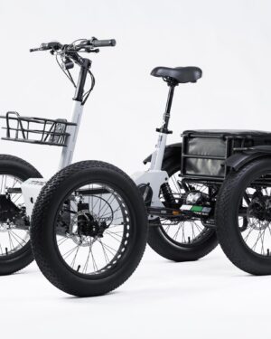 ETNNIC QUAD - Etnnic Triciclos eléctricos para adultos