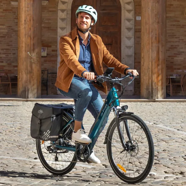 Fiido C11 Pro Bici Elettrica Urbana