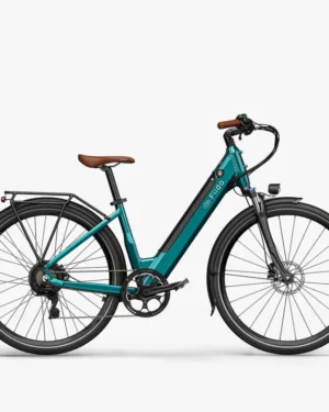 Fiido C11 Pro Bici Elettrica Urbana