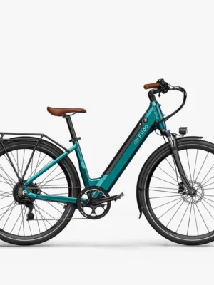 Fiido C11 Pro Bici Elettrica Urbana