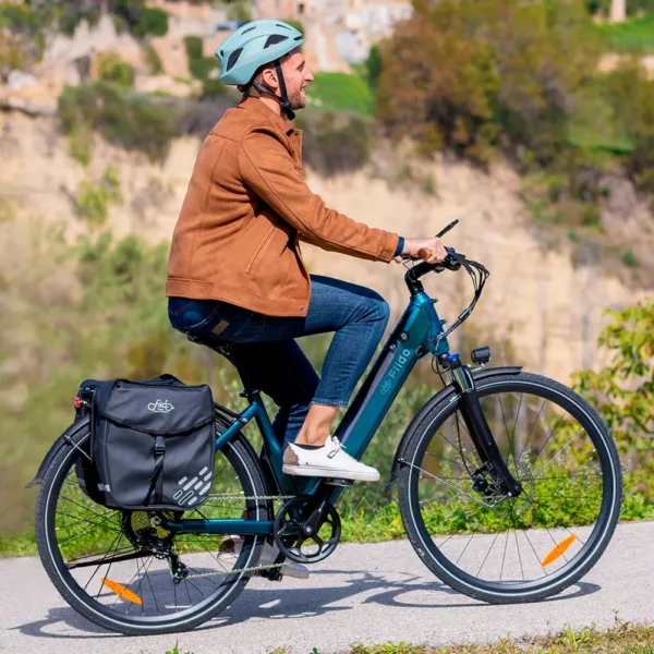 Fiido C11 Pro Bici Elettrica Urbana