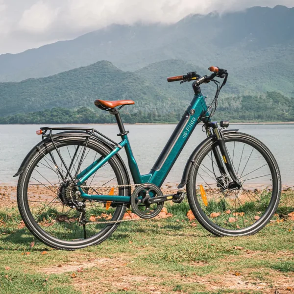Fiido C11 Pro Bici Elettrica Urbana