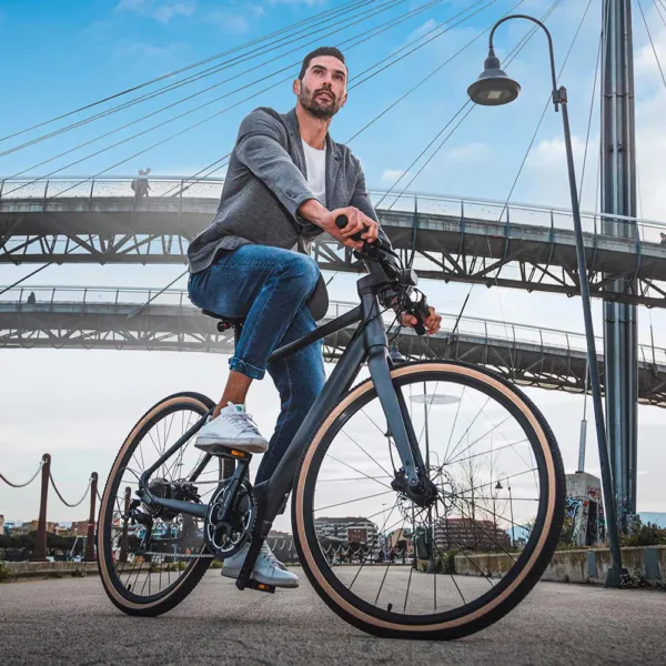 Fiido C21 E-Gravel & Bici Elettrica Da Città