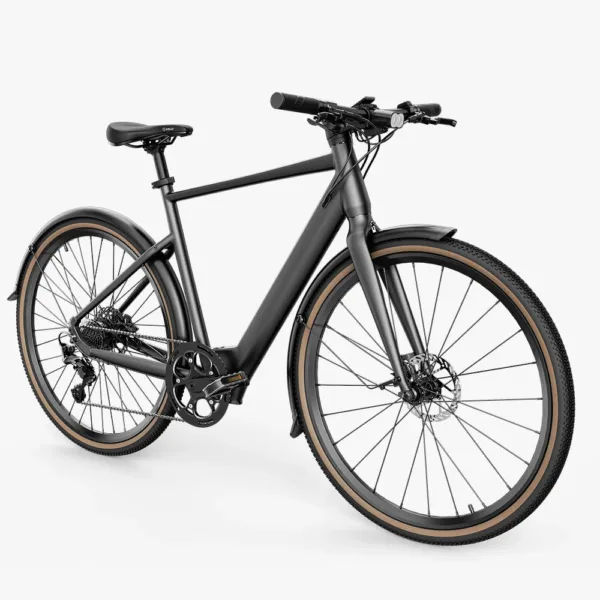Fiido C21 E-Gravel & Bici Elettrica Da Città