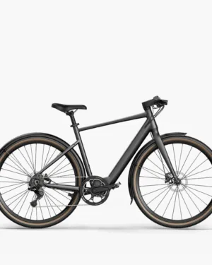 Fiido C21 E-Gravel & Bici Elettrica Da Città