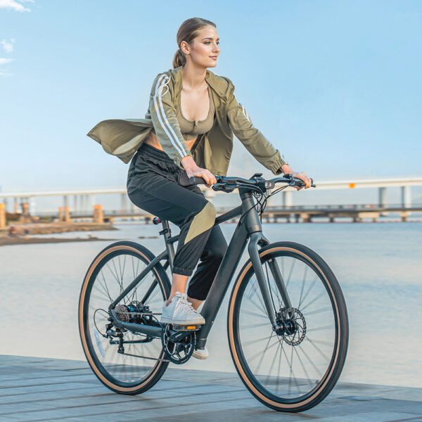 Fiido C21 E-Gravel & Bici Elettrica Da Città