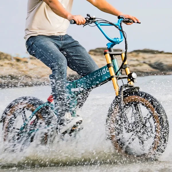 Fiido M1 Pro Bici Elettrica Ruote Grosse Fat Bike