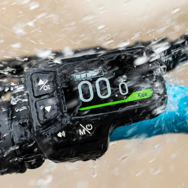 Fiido M1 Pro Bici Elettrica Ruote Grosse Fat Bike