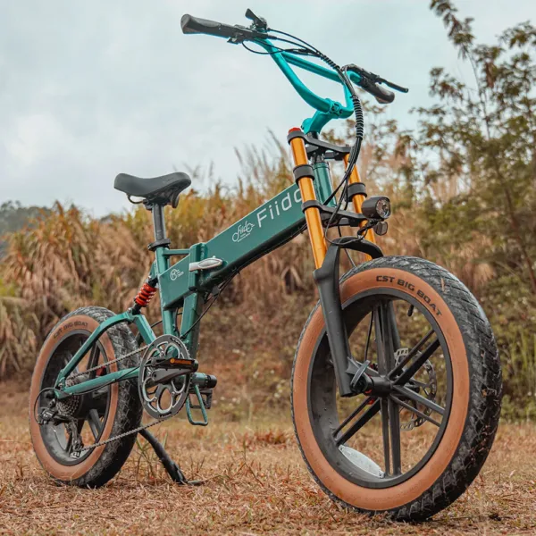 Fiido M1 Pro Bici Elettrica Ruote Grosse Fat Bike