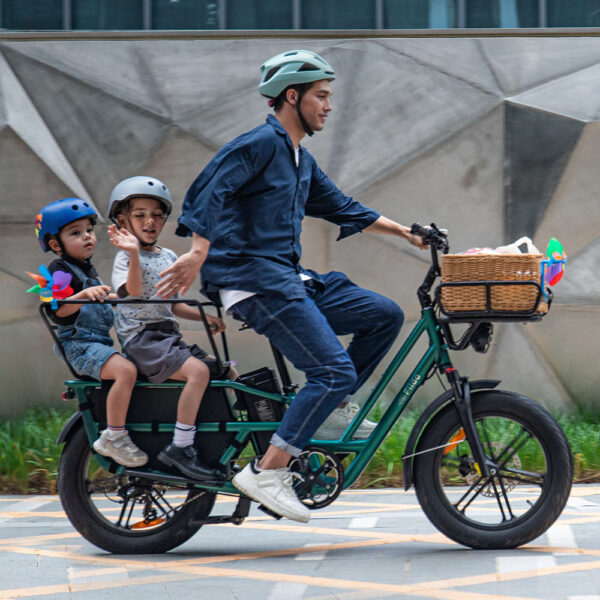 Fiido T2 Longtail Cargo Bici Elettrica Fat Bike