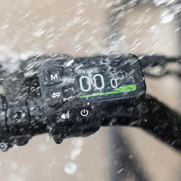 Fiido T2 Longtail Cargo Bici Elettrica Fat Bike