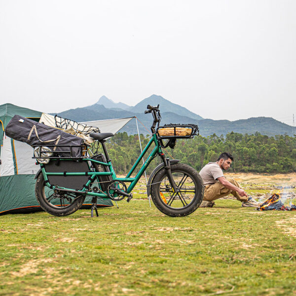 Fiido T2 Longtail Cargo Bici Elettrica Fat Bike