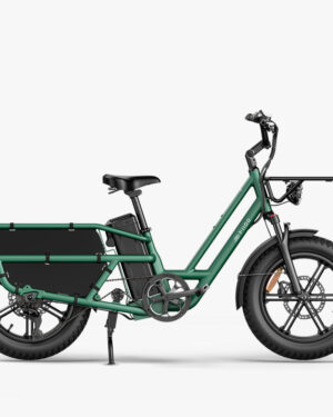 Fiido T2 Longtail Cargo Bici Elettrica Fat Bike