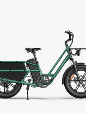 Fiido T2 Longtail Cargo Bici Elettrica Fat Bike