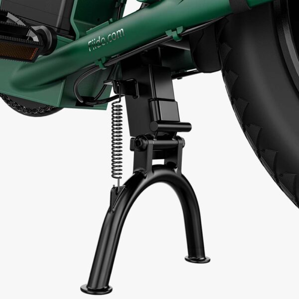 Fiido T2 Longtail Cargo Bici Elettrica Fat Bike