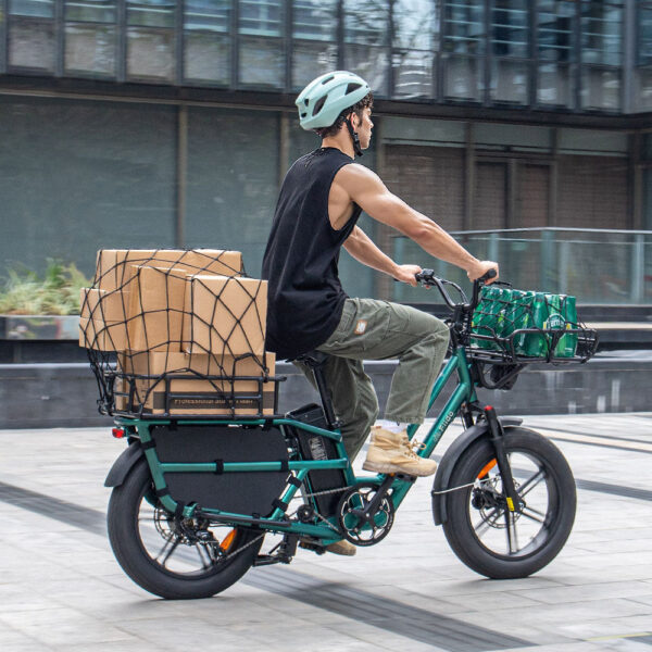 Fiido T2 Longtail Cargo Bici Elettrica Fat Bike