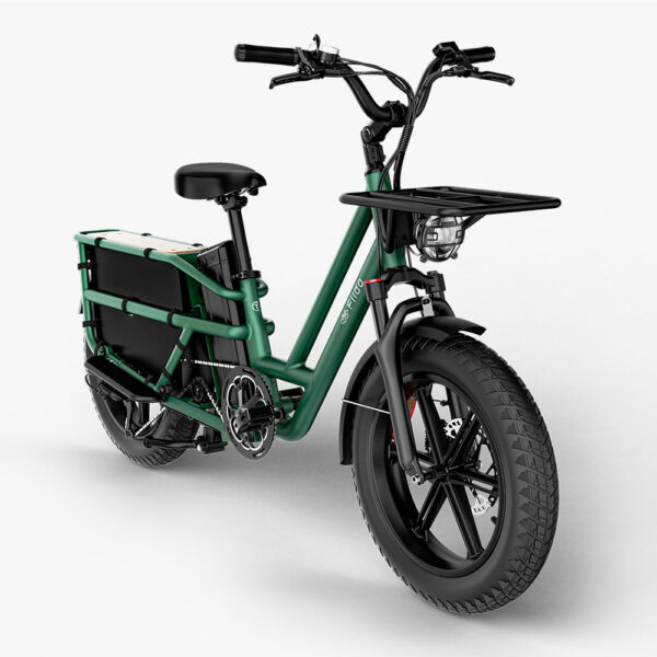 Fiido T2 Longtail Cargo Bici Elettrica Fat Bike