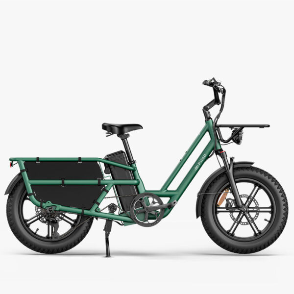 Fiido T2 Longtail Cargo Bici Elettrica Fat Bike