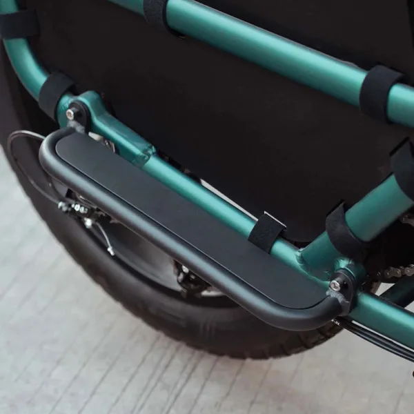 Fiido T2 Longtail Cargo Bici Elettrica Fat Bike