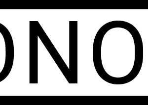Interne monopattino