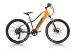 E-Mtb ragazzo Goblin 24" 6V Coppi