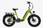 E-Fat Panda 20" 6V alluminio Focarini