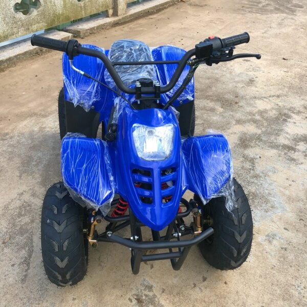 Quad 110cc Bamboo Ruota 6