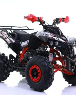 Quad 125cc Sportrax Ruota 8 Maxi