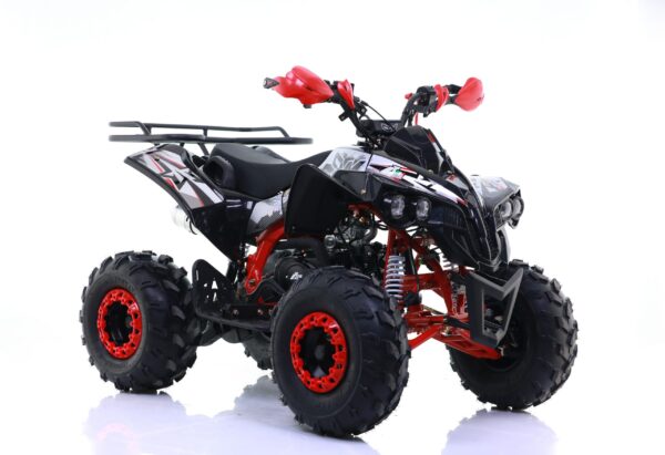 Quad 125cc Sportrax Ruota 8 Maxi