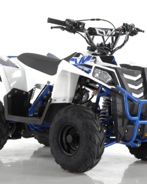 Quad Commander 110cc Ruota 6