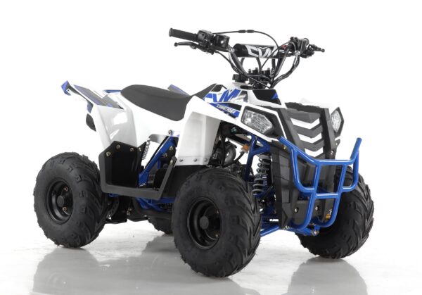 Quad Commander 110cc Ruota 6