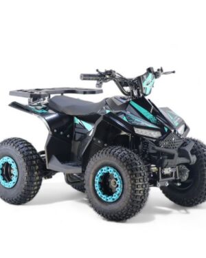 Quad Elettrico 1200w 48v MAXI Ruota 7 003E