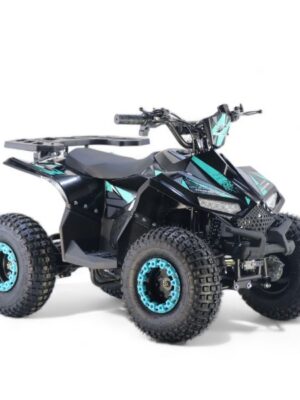 Quad Elettrico 1200w 48v MAXI Ruota 7 003E