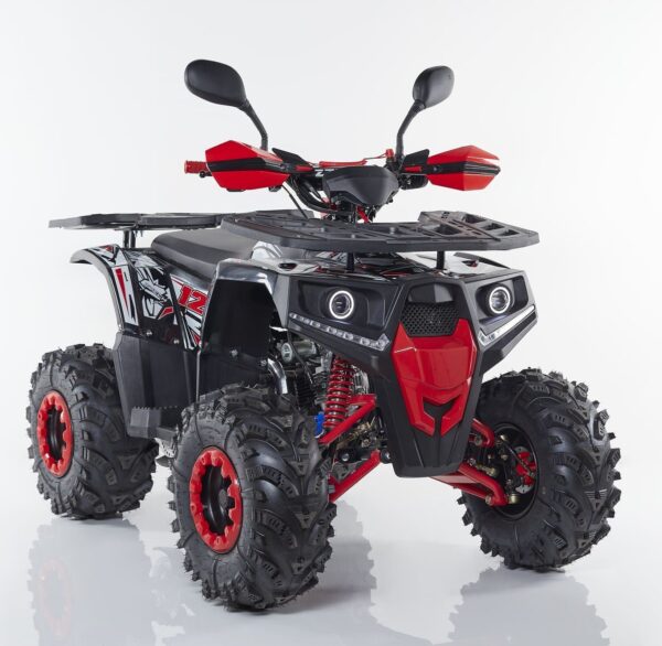 Quad HUNTER 125cc Ruota 8