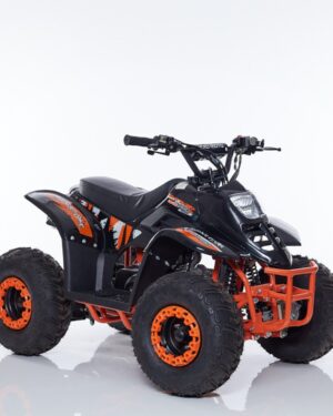 Quad Linus 125cc Ruota 6