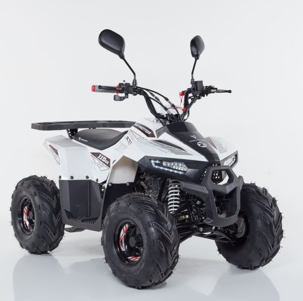 Quad Mudahawk 110cc Ruota7